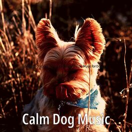 Album cover of (Vibraphone and Tenor Saxophone Solos) Music for Doggies