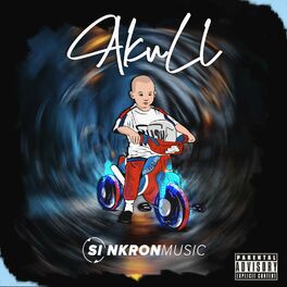 Album cover of Akull