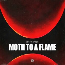 Album cover of Moth To A Flame