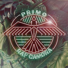 Album picture of Primo