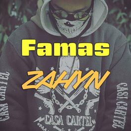 Album cover of Zahyn