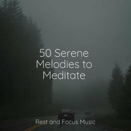 Album cover of 50 Serene Melodies to Meditate