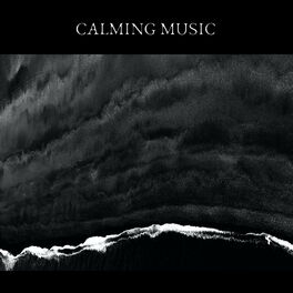 Album cover of Calming Music (Insomnia, Relax, Sleep, Meditation, Spa)