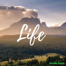 Album cover of Life