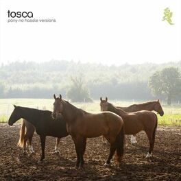 Album cover of Pony - No Hassle Versions