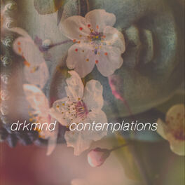 Album cover of contemplations