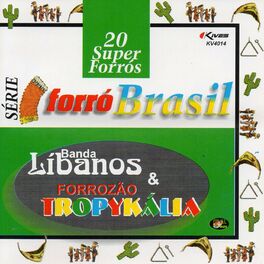 Album cover of Série Forró Brasil: 20 Super Forrós