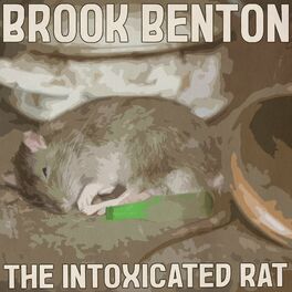 Album cover of The Intoxicated Rat (Remastered 2014)