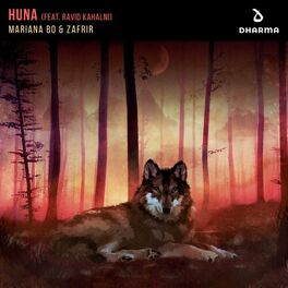 Album cover of Huna (feat. Ravid Kahalani)