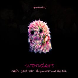 Album cover of Wonders