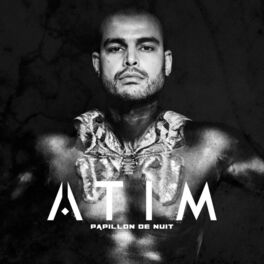Album cover of Papillon de nuit