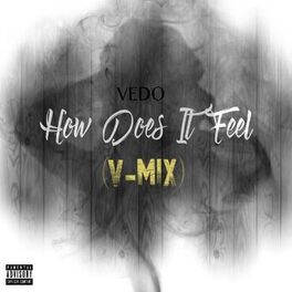 Album cover of How Does It Feel (V-Mix)
