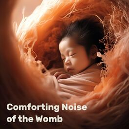 Album cover of Comforting Noise of the Womb