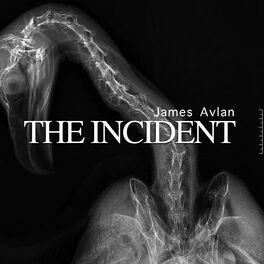 Album cover of The Incident