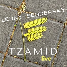Album cover of Tzamid (Live)