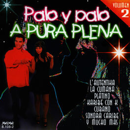 Album cover of Palo y Palo a Pura Plena Uruguay, Vol.2
