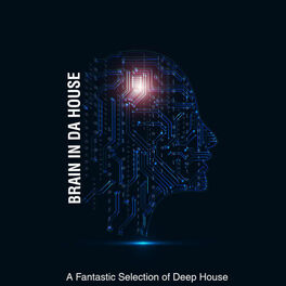 Album cover of Brain in Da House - a Fantastic Selection of Deep House (Album)