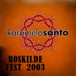 Album cover of Roskilde Fest 2003