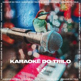 Album cover of Karaokê Do Trilo (Instrumental)
