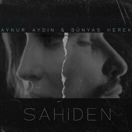 Album cover of Sahiden