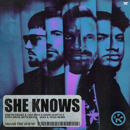 Album cover of She Knows (with Akon) (Jaxx & Vega Remix)