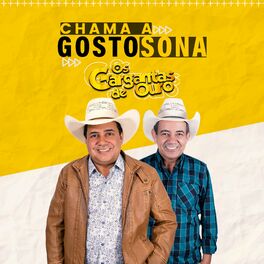 Album cover of Chama a Gostosona