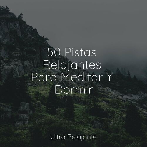 Sons Da Natureza Relaxamento Nuevo Album Pistas Relajantes Para Meditar Y Dormir Letras