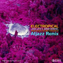 Album cover of Electropical: Amazonas Secret Kingdom (Atjazz Remix)