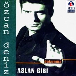 Album cover of Aslan gibi / Dokunma