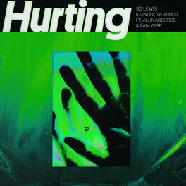 Album cover of Hurting (Conducta Remix)