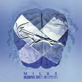 Album cover of Incompris Tape vol.2