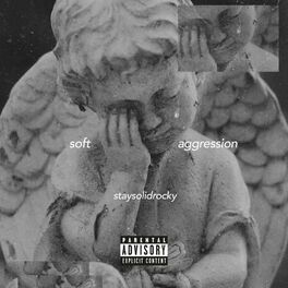 Album cover of Soft Aggression