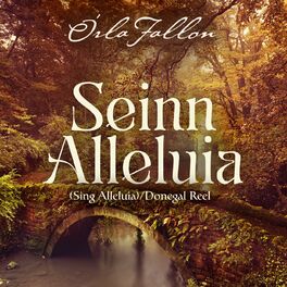 Album cover of Seinn Alleluia/Donegal Reel  