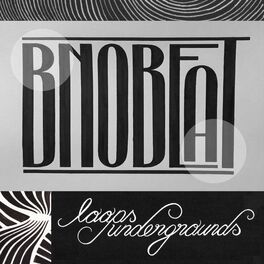 Album cover of Loops Undergrounds