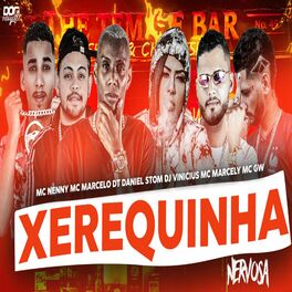 Album cover of Xerequinha Nervosa