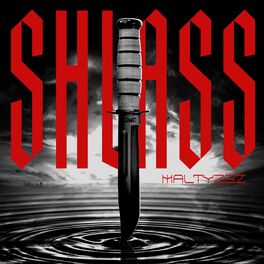 Album cover of Shlass