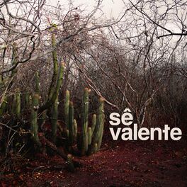 Album cover of Sê Valente