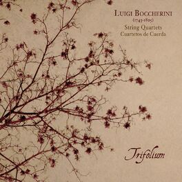 Album cover of Luigi Boccherini. String Quartets