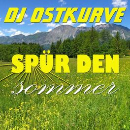 Album cover of Spür den Sommer
