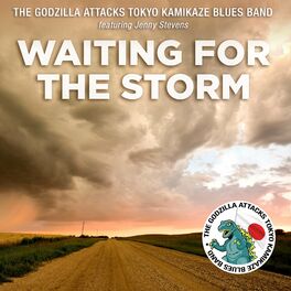 Album cover of Waiting For The Storm (feat. Jenny Stevens)