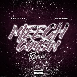 Mocean Meech Cousin feat. YTB Fatt Remix lyrics and songs