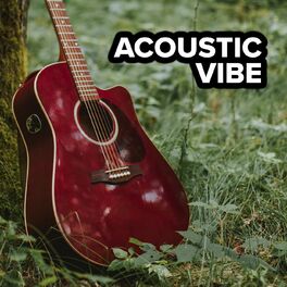 Album cover of Acoustic Vibe