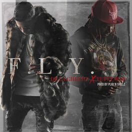 Album cover of F.L.Y. (feat. Fetty Wap)