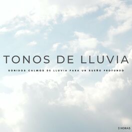 Album cover of Tonos De Lluvia: Sonidos Calmos De Lluvia Para Un Sueño Profundo - 2 Horas