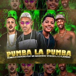 Album cover of Pumba La Pumba (Brega Funk)