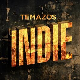 Album cover of Temazos Indie