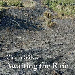 Album cover of Awaiting the Rain