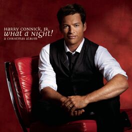 Album cover of What A Night! A Christmas Album