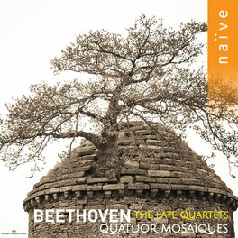 Album cover of Beethoven: The Late Quartets, Op. 127 - 135
