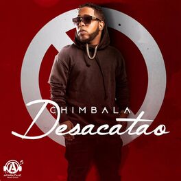 Album cover of Desacatao